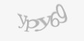 Защитный код