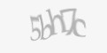 Защитный код